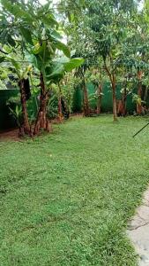 um quintal com árvores e relva verde e uma parede em Praveen villa em Beruwala