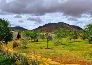 a field with trees and a house and a mountain at Boma Simba Safari Lodge in Voi