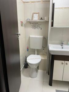 a small bathroom with a toilet and a sink at Apartament Cina in Huşi