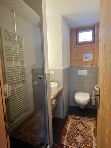 a bathroom with a shower and a toilet and a sink at Chalet Wiesen in Davos