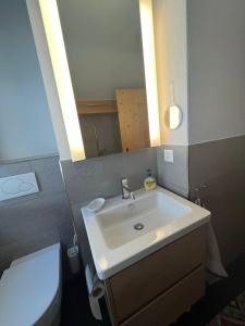 La salle de bains est pourvue d'un lavabo, de toilettes et d'un miroir. dans l'établissement Chalet Wiesen, à Davos