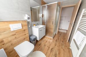 a bathroom with a toilet and a sink and a shower at Penzion Pepovka in Filipovice