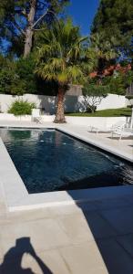 ein Schatten einer Person, die ein Foto von einem Schwimmbad macht in der Unterkunft Très belle villa Familiale avec Piscine in La Cadière-dʼAzur