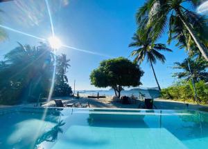 a swimming pool next to a beach with palm trees at Amila Dive Beach Resort in Sipalay