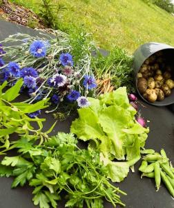un montón de lechugas y otras verduras sobre una mesa en Tiny summerhouse in Matsalu, 
