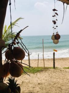 Ranna的住宿－Waves cabana kalametiya，一片海滩上挂着许多椰子