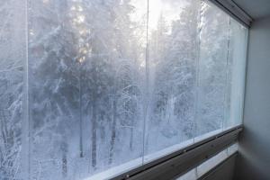 a window with a view of a snow covered forest at 30m2 studio - 500m from train station to Airport and Helsinki city centre in Vantaa