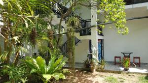 a courtyard with a bunch of plants and a building at Blue sky villa in Mirissa
