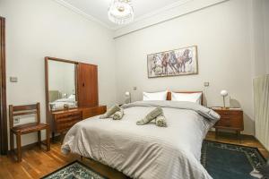 a bedroom with a large bed and a mirror at Nicolas Home in Tríkala