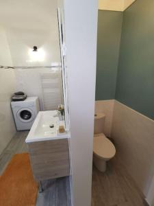 a bathroom with a toilet and a sink at Maisonnette rénovée et son jardin in Châtellerault