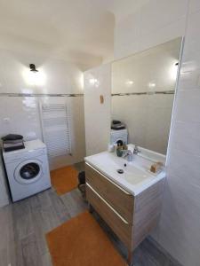 a bathroom with a sink and a washing machine at Maisonnette rénovée et son jardin in Châtellerault