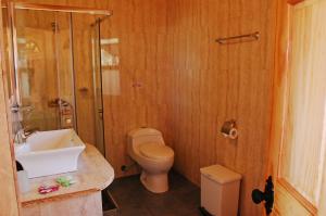 uma casa de banho com um WC, um lavatório e um chuveiro em Quechua Hotel em San Pedro de Atacama