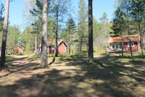 a cabin in the middle of a forest with trees at Gärdsholmens Skärgårdshemman "Boken" in Edsbruk