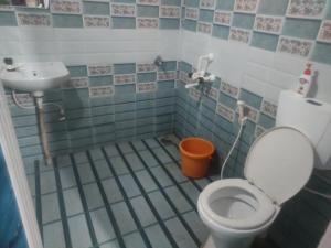 馬蒂寇裡的住宿－Green Coorg Homestay，一间带卫生间和水槽的浴室