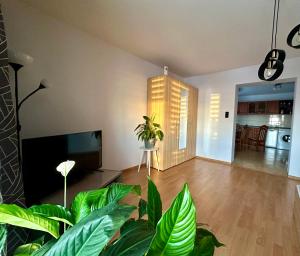un soggiorno con piante verdi e TV di Apartament Sweet Time a Huta Szklana