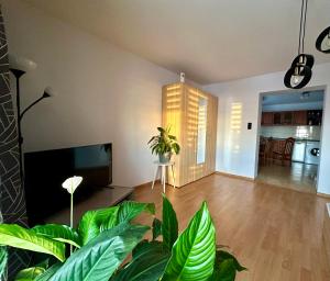 ein Wohnzimmer mit grünen Pflanzen und einem TV in der Unterkunft Apartament Sweet Time in Bieliny