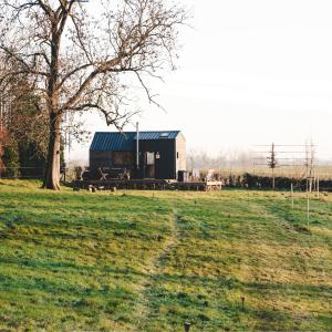 a black cabin in a field with a tree at Tiny House Au Coeur de la Campagne Wallonne in Chaumont-Gistoux
