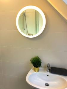 維也納的住宿－Beautiful Rooftop Apartment，浴室水槽,配有镜子和盆栽植物
