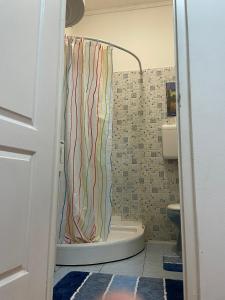 a bathroom with a shower curtain and a toilet at Red Locomotive Apartment in Budapest