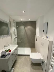 ein Badezimmer mit Dusche, Toilette und Waschbecken in der Unterkunft Papillon 2.0 in Sankt Andreasberg + 12 Fotos
