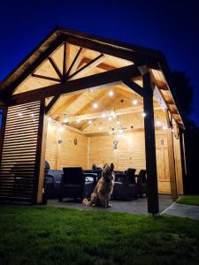 a dog sitting under a pavilion with lights on it at Chata u Bożeny in Muszyna