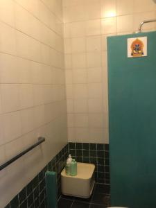 uma casa de banho com WC e uma porta verde em Villa su Capo Bianco em Ponza