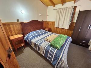Un dormitorio con una cama con una almohada verde. en Cabañas El Boldo, en Licán Ray