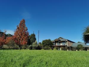 una casa con un campo verde y un árbol en Gypsy Creek Winery, en Labertouche