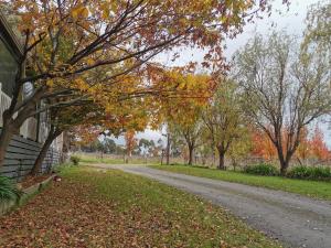 a road next to a house in the fall at Gypsy Creek Winery in Labertouche