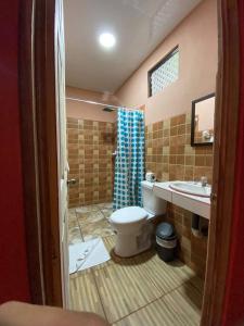 a bathroom with a toilet and a sink at Cabinas Agamy in Tortuguero