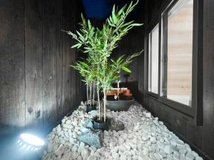 uma casa de banho com dois vasos de árvores num terreno rochoso em HOTEL KOKKARA... em Osaka