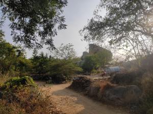 a dirt road with trees and rocks in a field at Adhya Home Stay Hampi in New Hampi