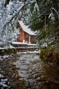 a cabin in the snow next to a stream at Pura Vida Forest Home in Poiana Horea