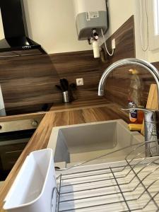 奧利韋的住宿－Loiret Luxe Studio，厨房内的厨房水槽配有水龙头