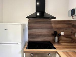 奧利韋的住宿－Loiret Luxe Studio，厨房配有炉灶和冰箱。