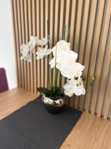 un vaso pieno di fiori bianchi su un tavolo di Kovacevic Apartments a Kotor (Cattaro)