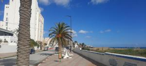 a street with palm trees on the side of a road at Appartement near the sea in La Goulette