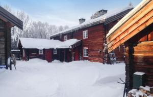 a log cabin with snow on the roof at Pet Friendly Home In Rros With Kitchen in Røros