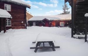 a picnic table in the snow in front of a cabin at Gorgeous Home In Røros With Sauna in Røros