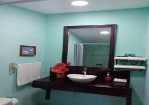 uma casa de banho com um lavatório e um espelho em Hotel El Maltese em Granada