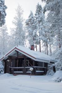 Villa Omena at MESSILA ski & camping зимой