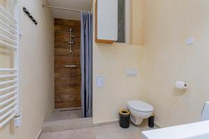 La salle de bains est pourvue d'une douche et de toilettes. dans l'établissement Full equipment designed apartment in the heart of Budapest for 4 people, à Budapest