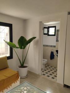 un salon avec une plante en pot et une salle de bains. dans l'établissement Duplex Hammamet, à Hammamet