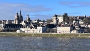 uma vista da cidade a partir da água em L'Horizon de la Loire-Vue sur Blois et la Loire-6 pers em Blois