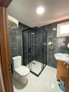 a bathroom with a toilet and a shower and a sink at GOLDEN PALACE SEA ViEW in Istanbul