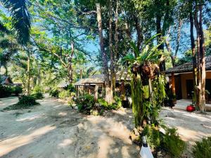una casa con una palma di fronte di Sunny Cove Beach Resort Koh Phayam a Ranong