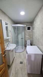 y baño con ducha, aseo y lavamanos. en Casa Viorica, en Câmpulung Moldovenesc