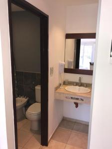 W łazience znajduje się toaleta, umywalka i lustro. w obiekcie Hotel internacional w mieście Termas de Río Hondo