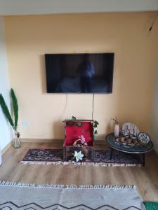 TV a/nebo společenská místnost v ubytování ZED PARK VIEW Top Roof Apartment Sheikh Zayed