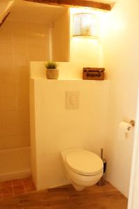 a bathroom with a toilet and a plant on a shelf at Longo Mai in Apt +15 photos